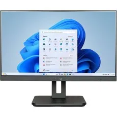 TERRA ALL-IN-ONE-PC 2410HA GREENLINE (1001382)